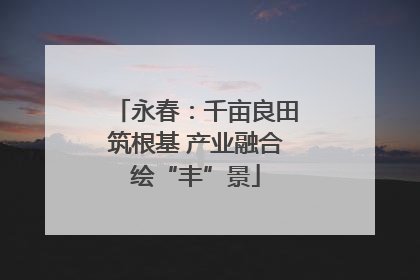 永春：千亩良田筑根基 产业融合绘“丰”景