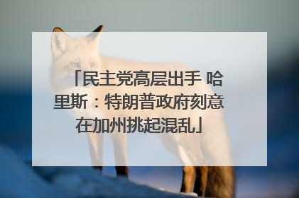 民主党高层出手 哈里斯：特朗普政府刻意在加州挑起混乱