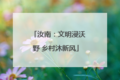 汝南：文明浸沃野 乡村沐新风