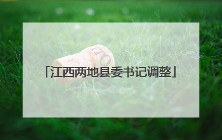 江西两地县委书记调整