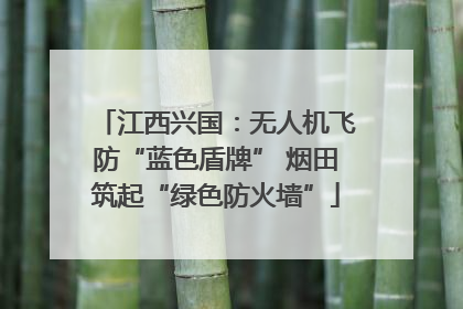 江西兴国：无人机飞防“蓝色盾牌” 烟田筑起“绿色防火墙”