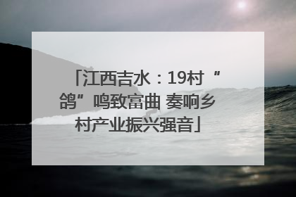 江西吉水：19村“鸽”鸣致富曲 奏响乡村产业振兴强音