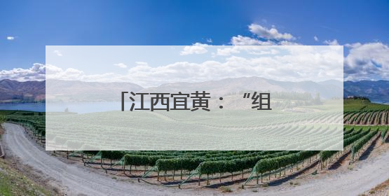 江西宜黄：“组合拳”打出政务服务“升级版”