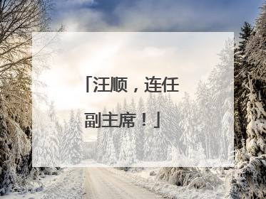 汪顺，连任副主席！