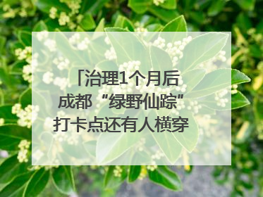 治理1个月后 成都“绿野仙踪”打卡点还有人横穿马路去拍照吗？｜民情瞭望