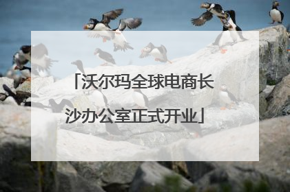 沃尔玛全球电商长沙办公室正式开业