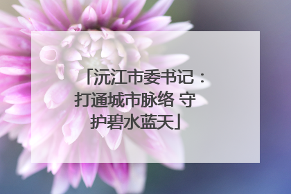 沅江市委书记：打通城市脉络 守护碧水蓝天
