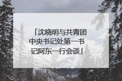 沈晓明与共青团中央书记处第一书记阿东一行会谈