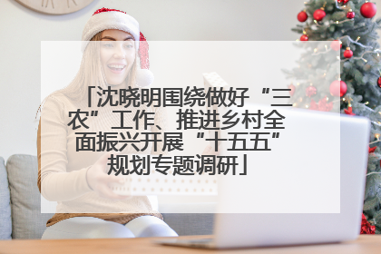 沈晓明围绕做好“三农”工作、推进乡村全面振兴开展“十五五”规划专题调研