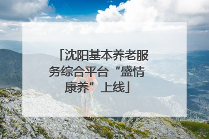 沈阳基本养老服务综合平台“盛情康养”上线