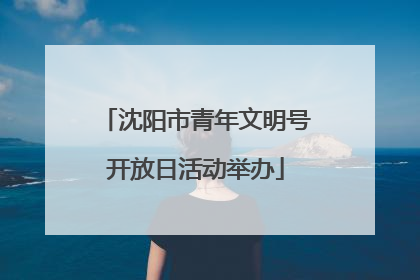 沈阳市青年文明号开放日活动举办