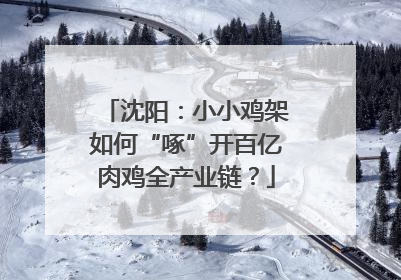 沈阳：小小鸡架如何“啄”开百亿肉鸡全产业链？