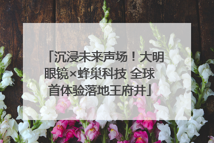 沉浸未来声场！大明眼镜×蜂巢科技 全球首体验落地王府井