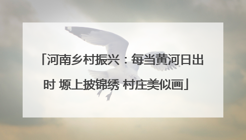 河南乡村振兴：每当黄河日出时 塬上披锦绣 村庄美似画