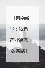 河南新野：特色产业铺就致富路