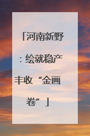 河南新野：绘就稳产丰收“金画卷”