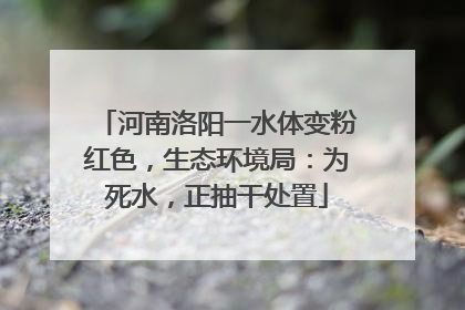 河南洛阳一水体变粉红色，生态环境局：为死水，正抽干处置