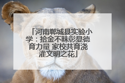 河南郸城县实验小学：拾金不昧彰显德育力量 家校共育浇灌文明之花