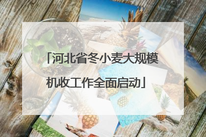 河北省冬小麦大规模机收工作全面启动