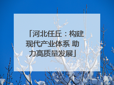河北任丘：构建现代产业体系 助力高质量发展