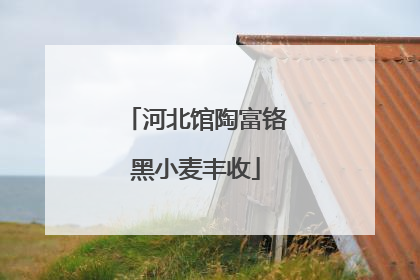 河北馆陶富铬黑小麦丰收