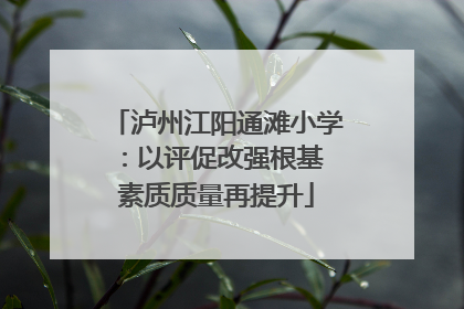 泸州江阳通滩小学：以评促改强根基 素质质量再提升