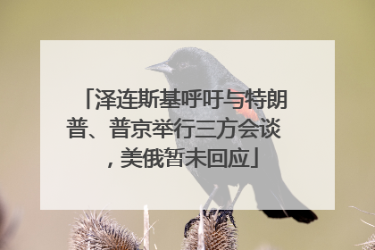 泽连斯基呼吁与特朗普、普京举行三方会谈，美俄暂未回应