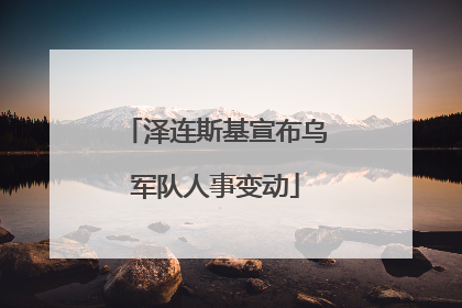 泽连斯基宣布乌军队人事变动