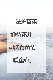 法护蓓蕾静待花开 司法育苗情暖童心