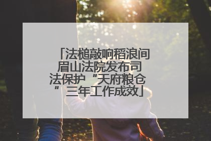 法槌敲响稻浪间 眉山法院发布司法保护“天府粮仓”三年工作成效