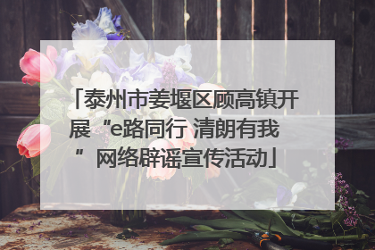 泰州市姜堰区顾高镇开展“e路同行 清朗有我”网络辟谣宣传活动