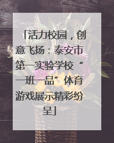 活力校园，创意飞扬：泰安市第一实验学校“一班一品”体育游戏展示精彩纷呈