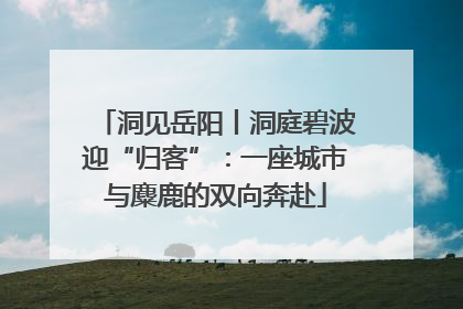 洞见岳阳丨洞庭碧波迎“归客”：一座城市与麋鹿的双向奔赴