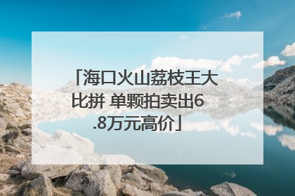 海口火山荔枝王大比拼 单颗拍卖出6.8万元高价