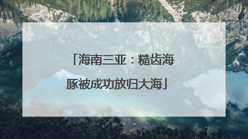 海南三亚：糙齿海豚被成功放归大海