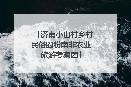 济南小山村乡村民俗圈粉南非农业旅游考察团