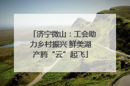 济宁微山：工会助力乡村振兴 鲜美湖产腾“云”起飞