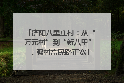 济阳八里庄村：从“万元村”到“新八里”，强村富民路正宽