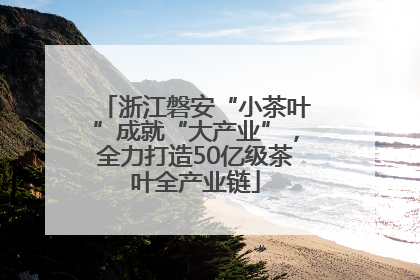 浙江磐安“小茶叶”成就“大产业”，全力打造50亿级茶叶全产业链