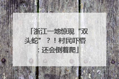 浙江一地惊现“双头蛇”？！村民吓懵：还会倒着爬