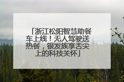 浙江松阳智慧助餐车上线！无人驾驶送热餐，银发族享舌尖上的科技关怀