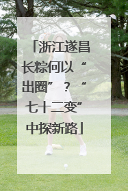 浙江遂昌长粽何以“出圈”？“七十二变”中探新路