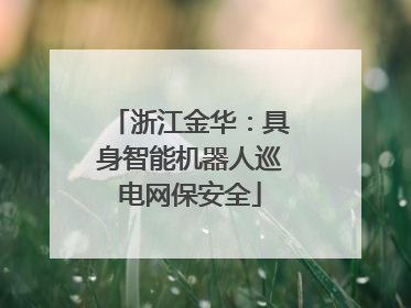 浙江金华：具身智能机器人巡电网保安全