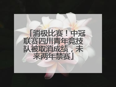 消极比赛！中冠联赛四川青年竞技队被取消成绩，未来两年禁赛
