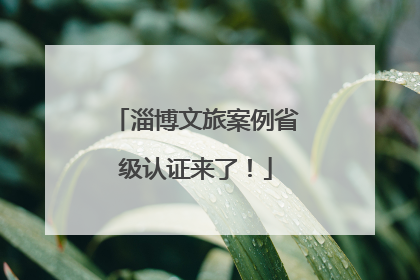 淄博文旅案例省级认证来了！