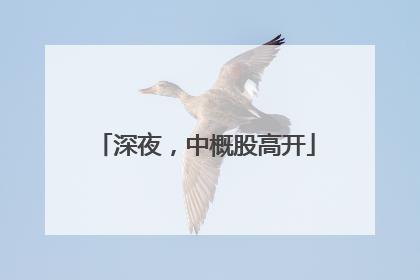 深夜，中概股高开
