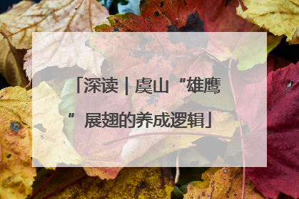 深读｜虞山“雄鹰”展翅的养成逻辑