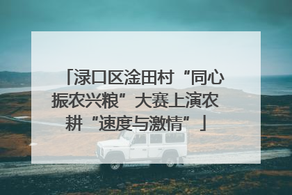 渌口区淦田村“同心振农兴粮”大赛上演农耕“速度与激情”