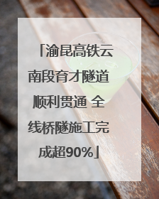 渝昆高铁云南段育才隧道顺利贯通 全线桥隧施工完成超90%