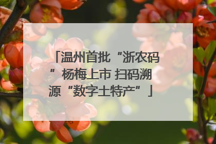 温州首批“浙农码”杨梅上市 扫码溯源“数字土特产”